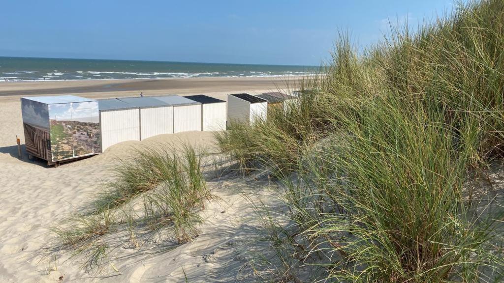 Strandhotel Dennenbos Oostkapelle Eksteriør bilde